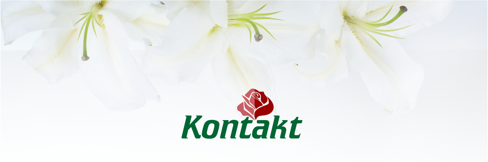 Eyecatcher Kontakt