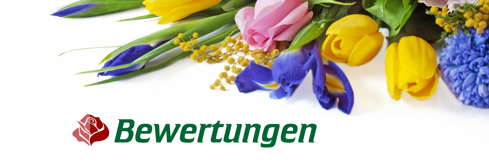 Eyecatcher Bewertungen
